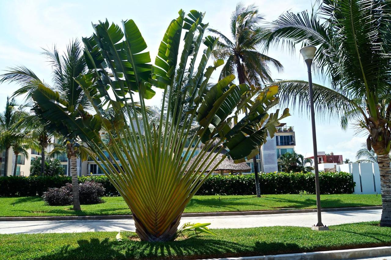 Penthouse Con Jacuzzi En Acapulco Diamante Apartman Kültér fotó